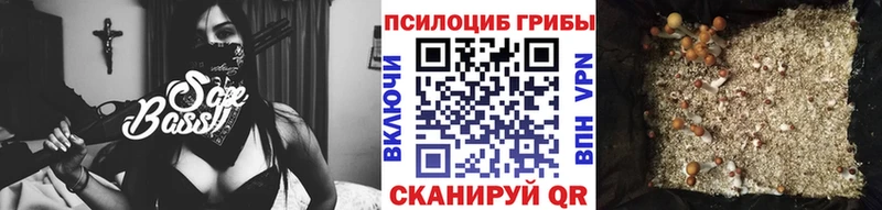 наркошоп  Костерёво  Псилоцибиновые грибы Magic Shrooms 